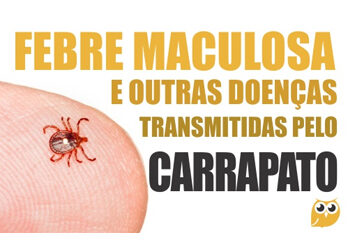 Carrapatos: febre maculosa e outras doenças