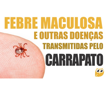 Carrapatos: febre maculosa e outras doenças