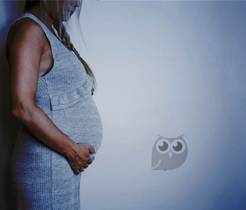 Dedetização afeta as grávidas?